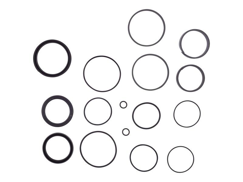 JLG Part # 1001164313 -  Seal Kit