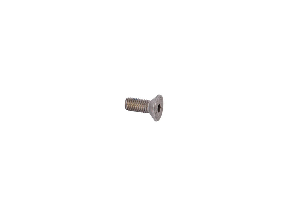 JLG Part # 1001265516 – M10 X 25 Skt Capscrew
