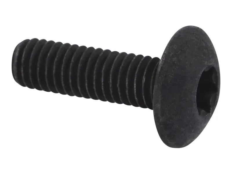 JLG Part # 1001272884 – Bolt,M6x20, T30 Truss Head