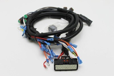 Genie 100698GT HARNESS, ECU, GR ANSI