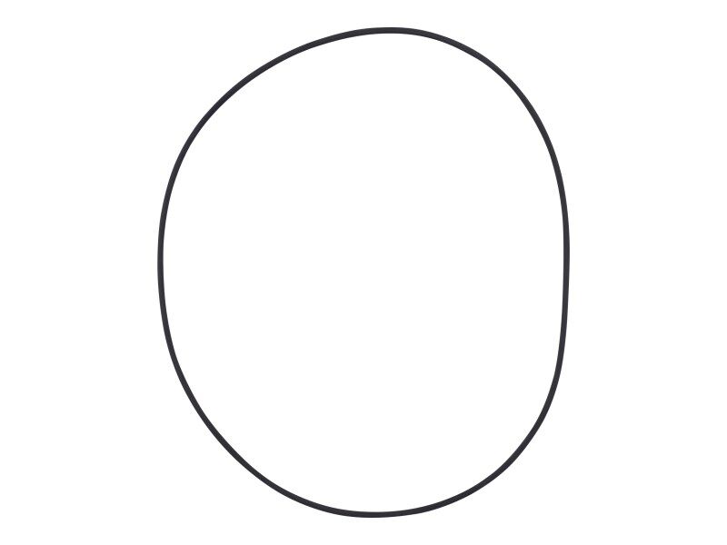 JLG Part # 10731707 – O-Ring