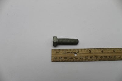 OEM Genie 1256168GT product image 1