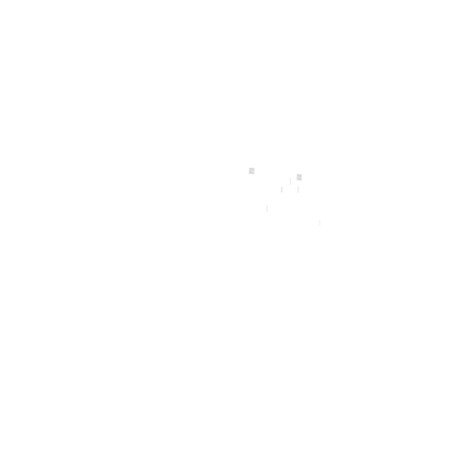 OEM Genie 1276904GT product image 2