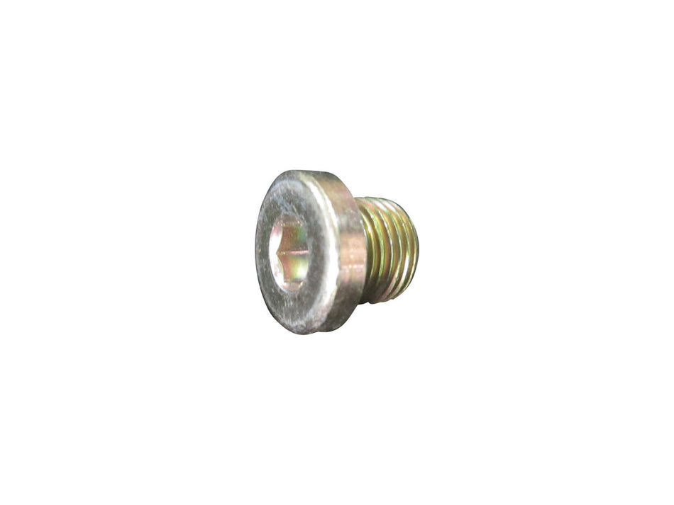 JLG Part # 1319670 – Screw Plug M10 X 1