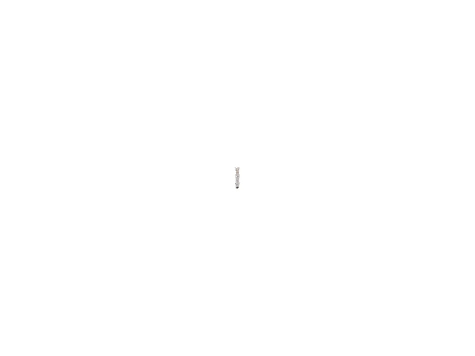 JLG Part # 1730720025 – Terminal F 0.25-0.50 Mmq (x39)
