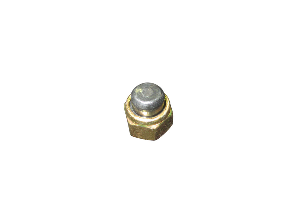JLG Part # 2080064 – Nylon Lock Nut 5/16