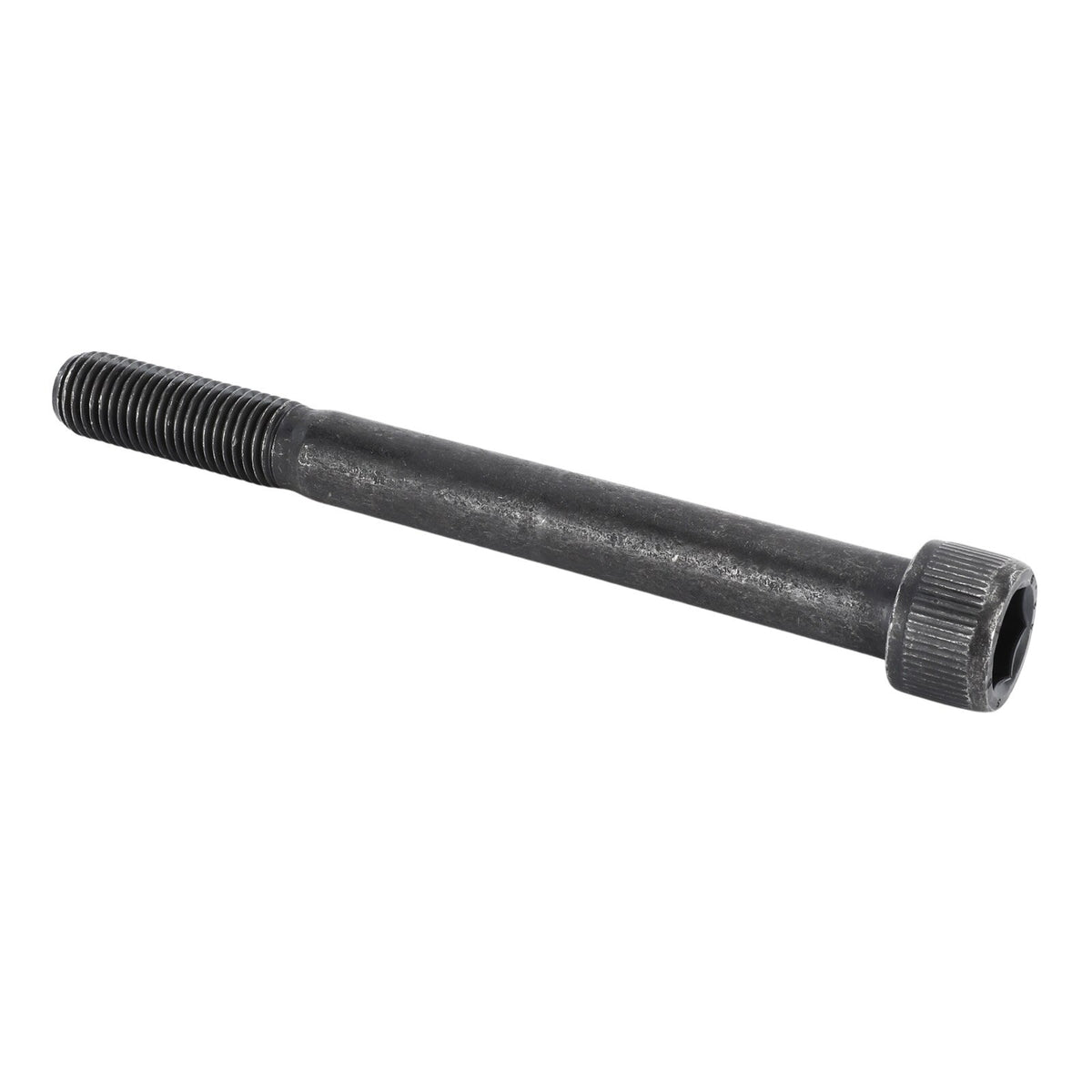 OEM Genie 218393GT product image 2
