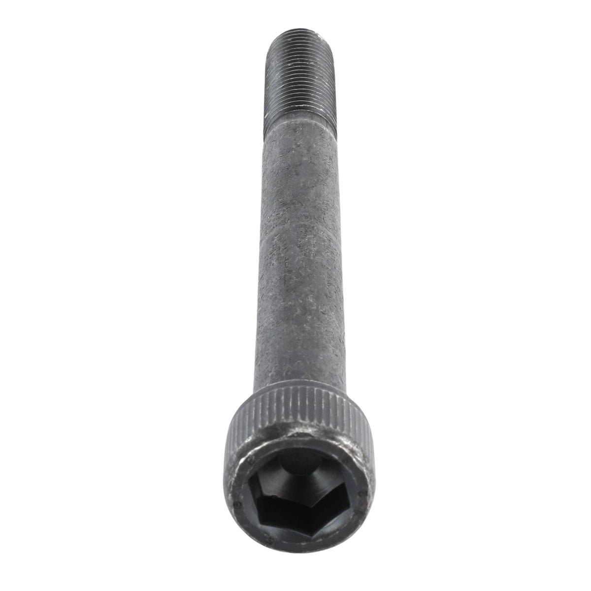 OEM Genie 218393GT product image 5