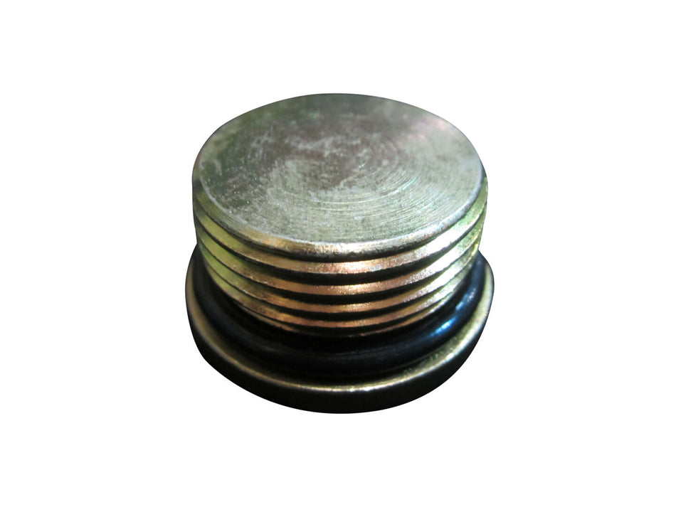 JLG Part # 2220889 – Hex Socket O-Ring Plug
