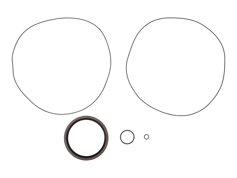 JLG Part # 2900560 -  Seal Kit