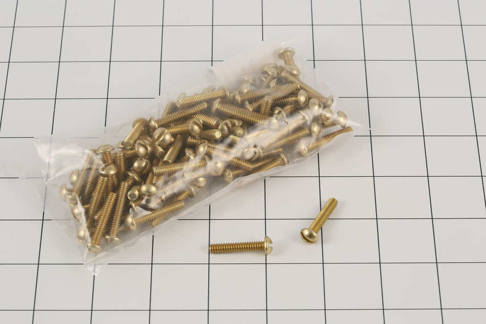 JLG Scr Rd Hd10 24 X1Qty100Pcs 3911016 100 replacement part image