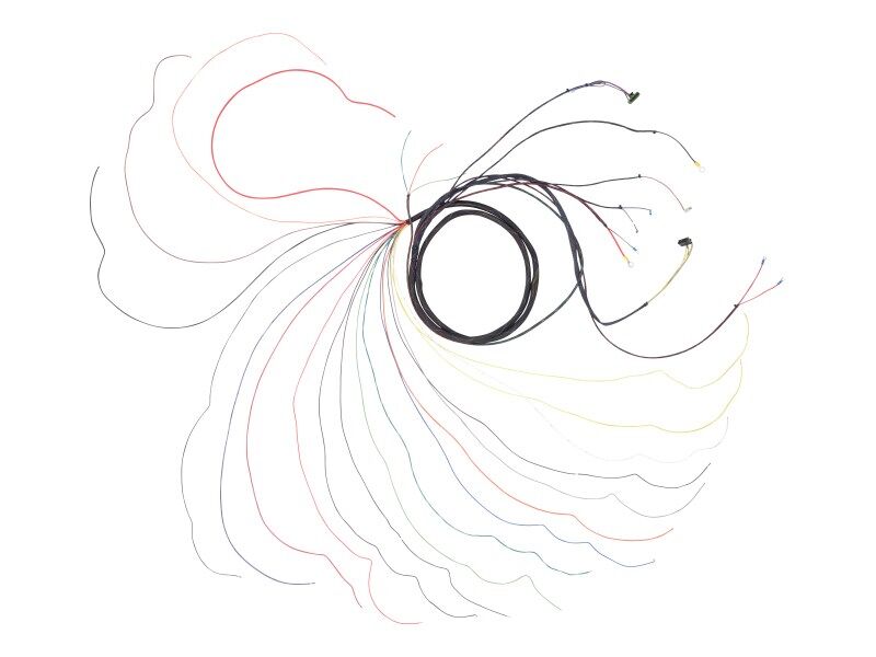 JLG Wire Harness Engine Dtz 4921787S replacement part image