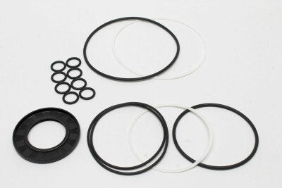 Genie 69513GT SEAL KIT (57949,80069)**