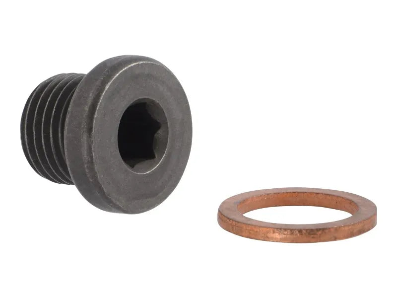 JLG Part # 70005020 – Plug W/Washer
