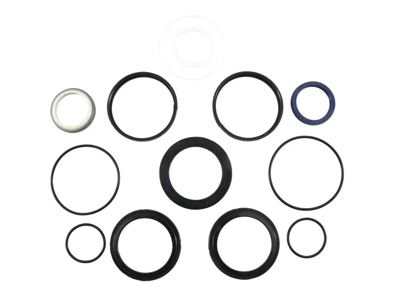 JLG Part # 70006594 -  Seal Kit