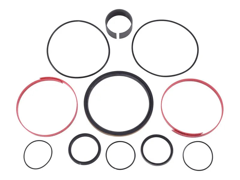 JLG Part # 70008295 -  Seal Kit