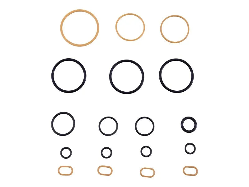 JLG Part # 70022687 -  Complete Element Seal Kit