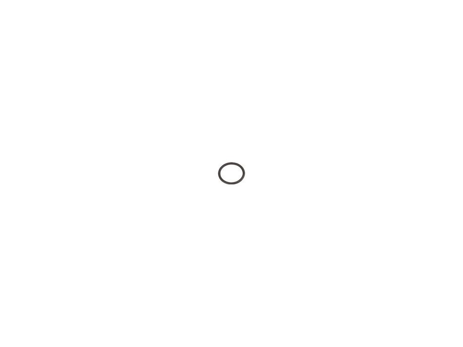 JLG Part # 70026370 – O-Ring