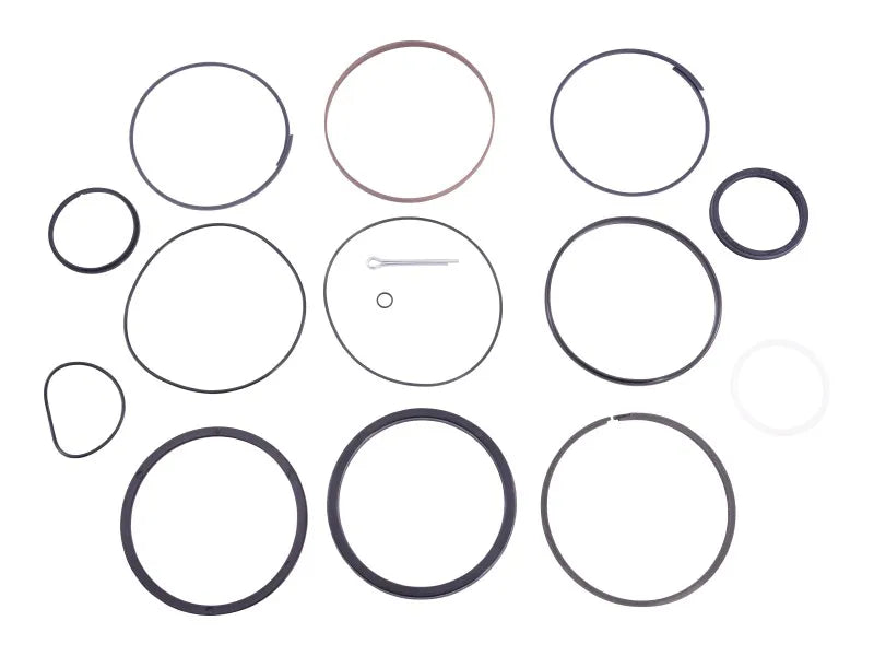 JLG Part # 70043271 -  Seal Kit