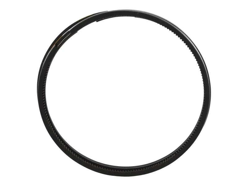 JLG Part # 70124532 -  Set Of Pist. Rings