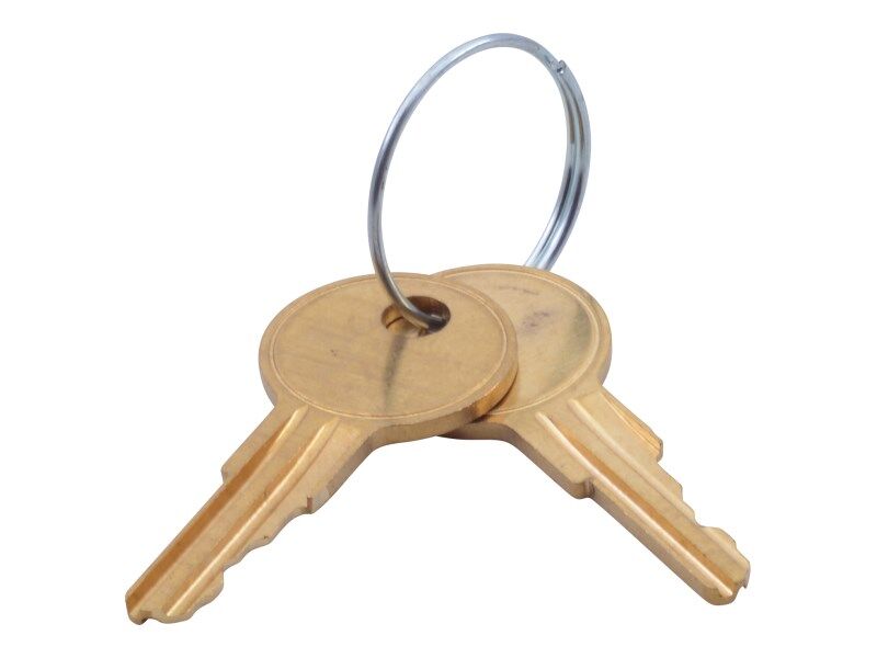 JLG Part # 7012587 – Set Of 2 Keys