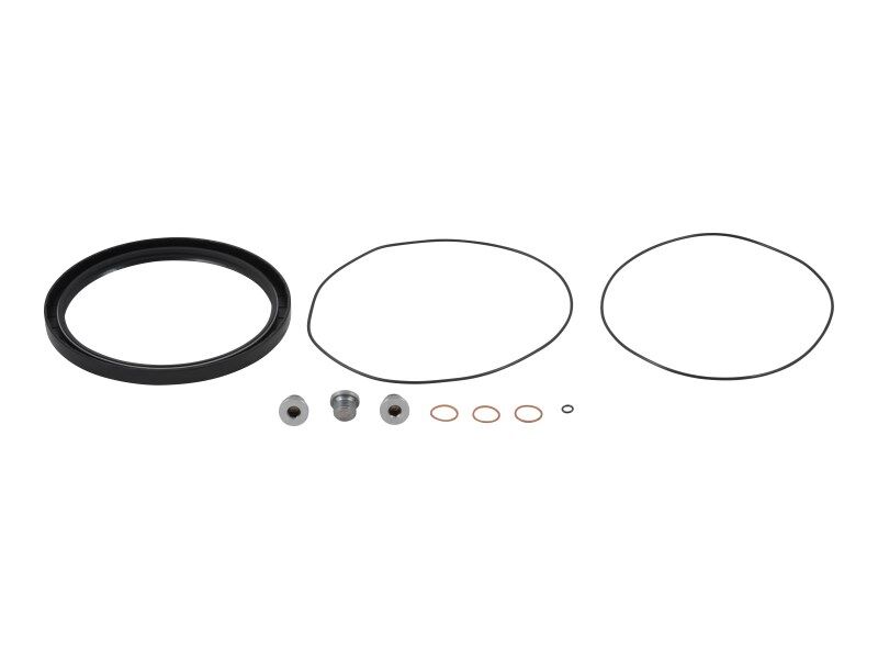 JLG Part # 7021333 -  Seal & Bolt Kit