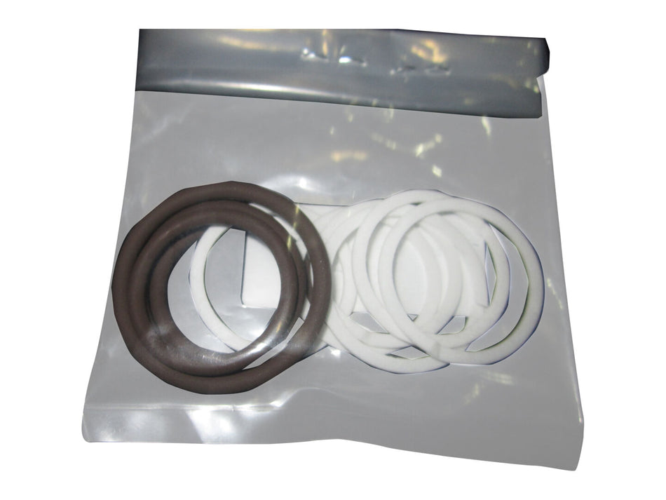 JLG Part # 7021625 -  Seal Kit - Fluorocarbon/Viton | Fits 15 JLG Lift Models