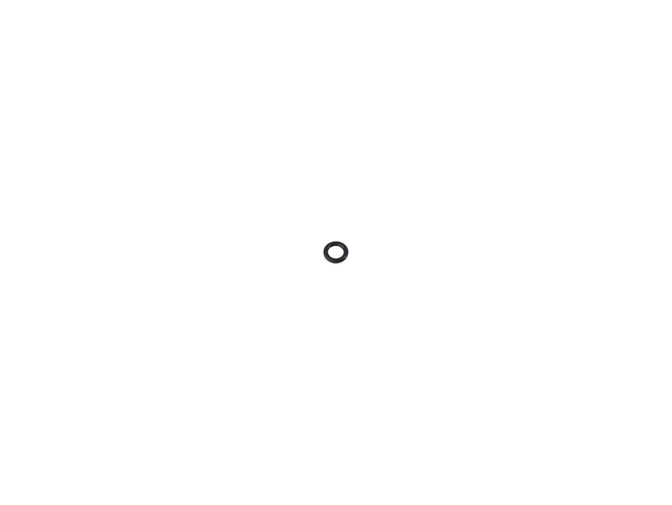 JLG Part # 7024087 – O-Ring