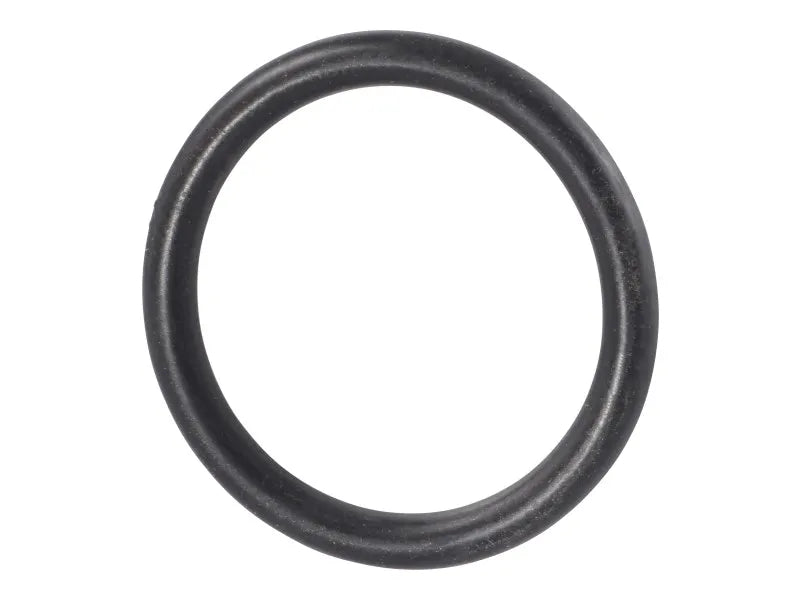 JLG Part # 7026874 – Seal, Fuel Pump