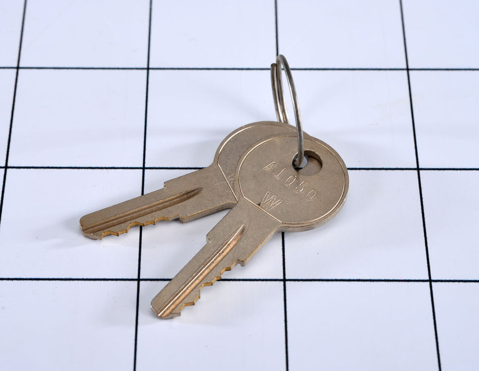 JLG Part # 8035292 – Keys Set Of 2