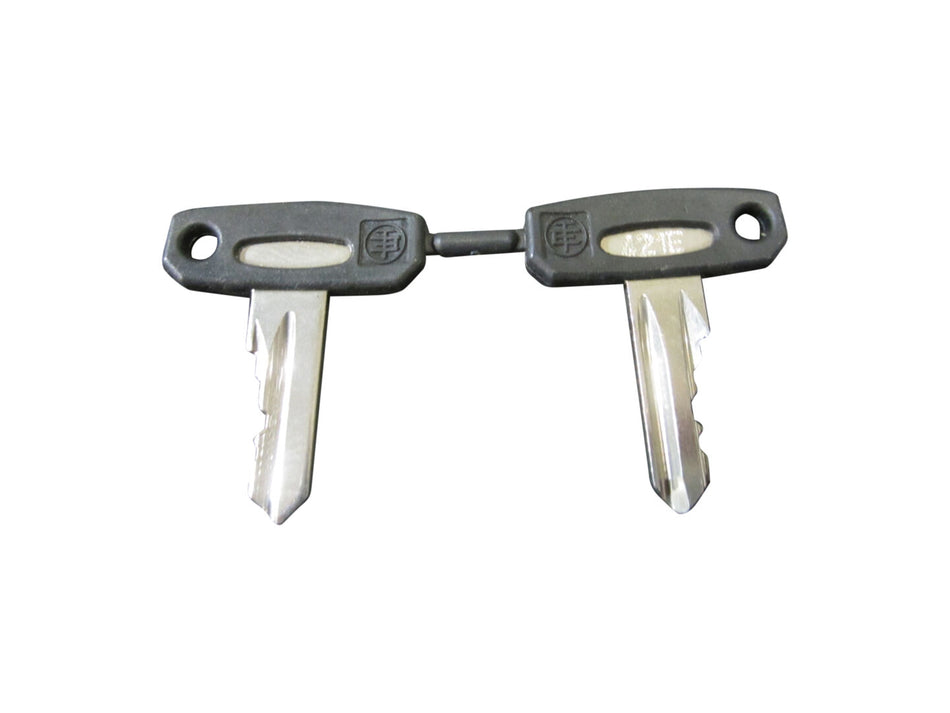JLG Part # 910003 – Ronis 421 Key