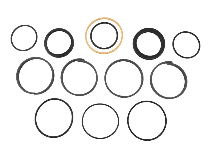 JLG Part # 91044029 -  Crowd Extension Seal Kit