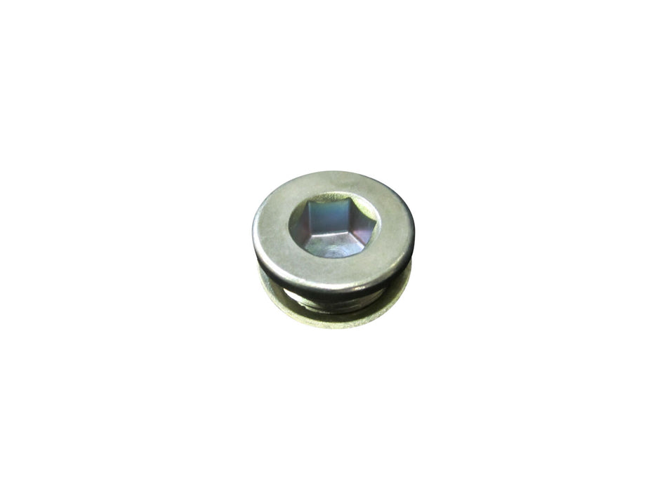 JLG Part # 91514188 – Plug W/sealing Washer