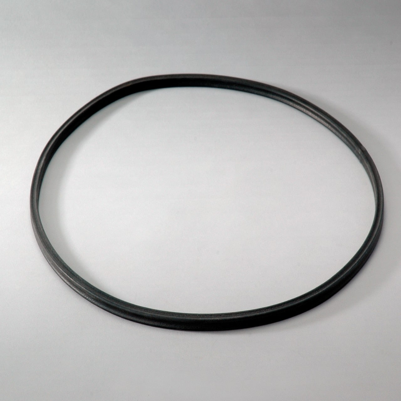 OEM Genie P016972DFS product image 1