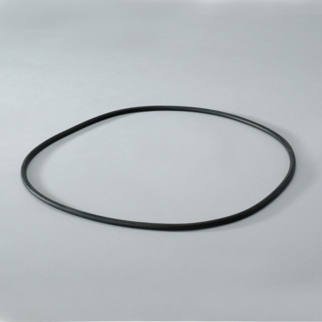 JLG Dsgasket Bodycase Of 5 P017335 replacement part image