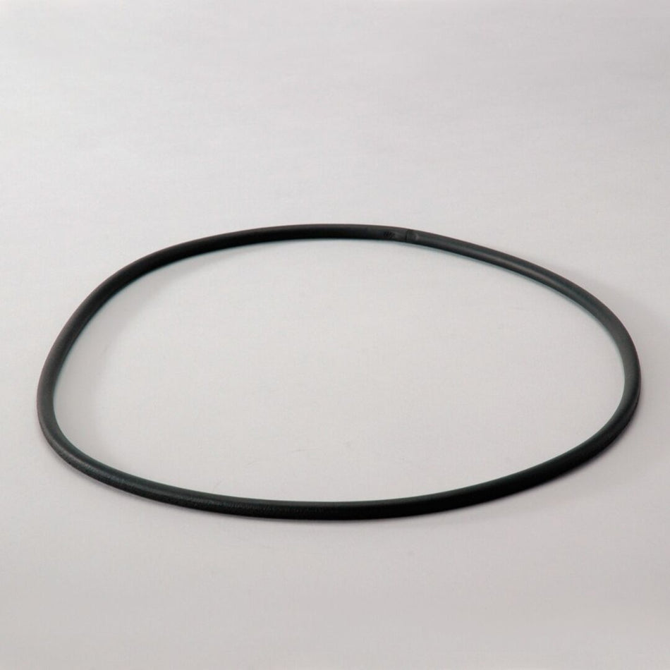 JLG Dsseal P017568 replacement part image