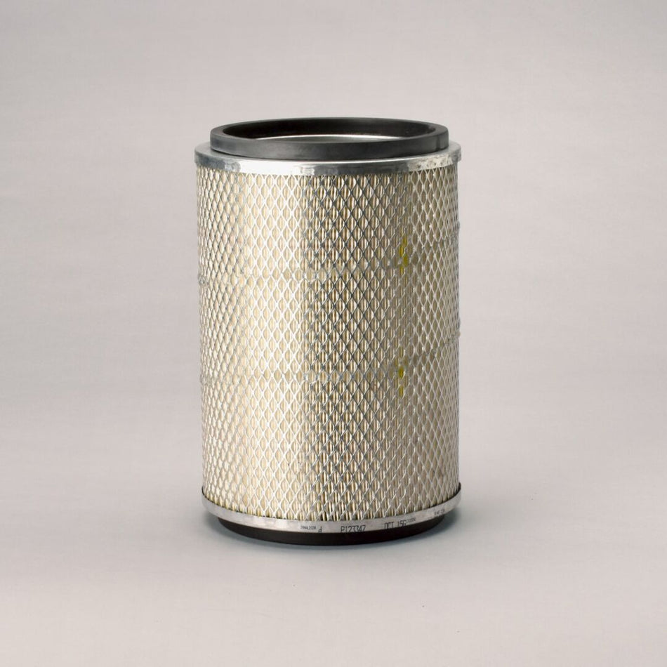JLG Dsair Filter Primary Round P123347 replacement part image
