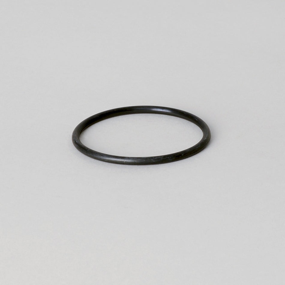 OEM Genie P160125DFS product image 1