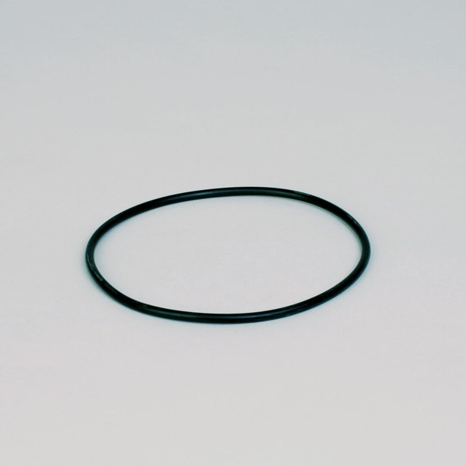 JLG Dso Ring Hydraulic P160137 replacement part image