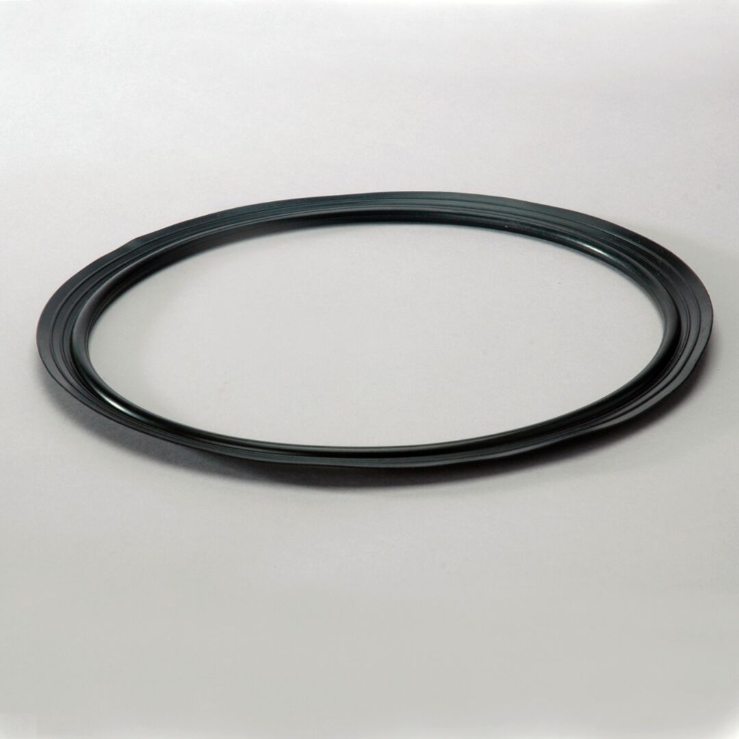 JLG Dsseal Hydraulic P160215 replacement part image
