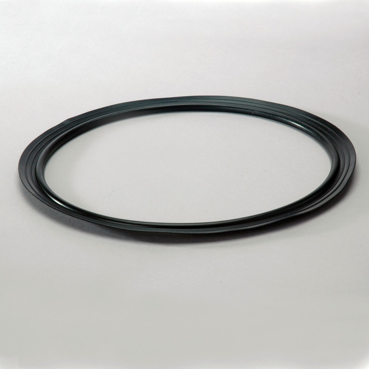 OEM Genie P160215DFS product image 1
