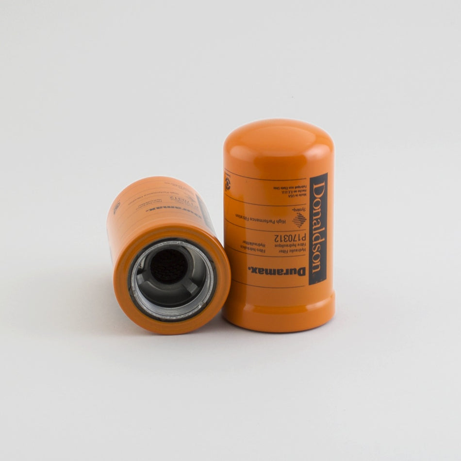 OEM Genie P170312DFS product image 1