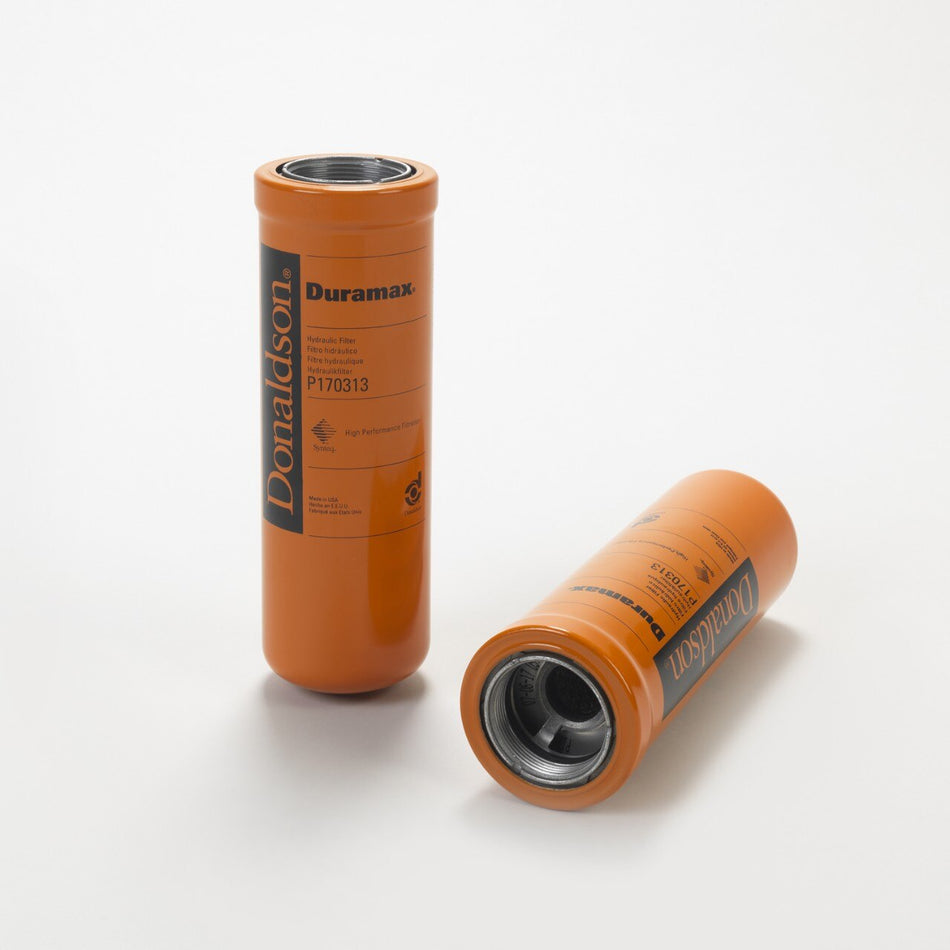 OEM Genie P170313DFS product image 1