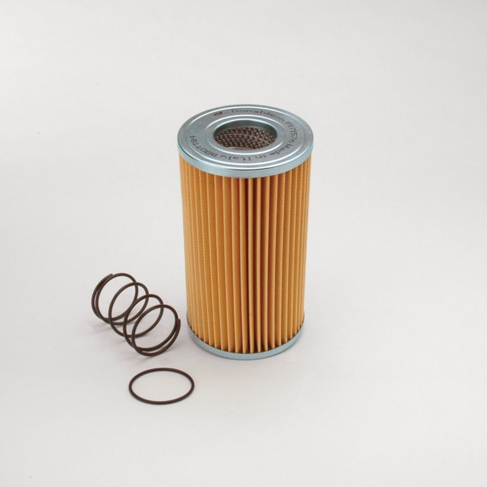 JLG Dshydraulic Filter Cartridg P171576 replacement part image