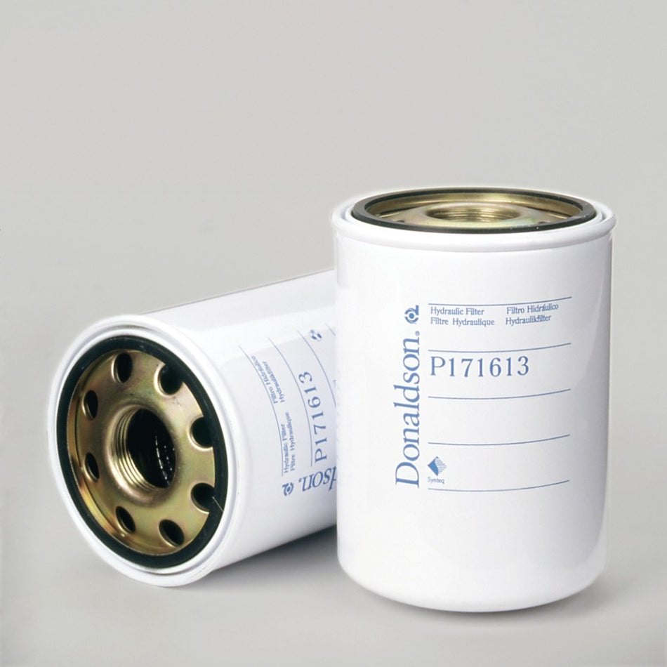 OEM Genie P171613DFS product image 1
