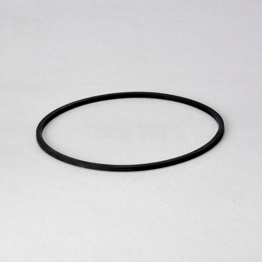 JLG Dsgasket P174997 replacement part image