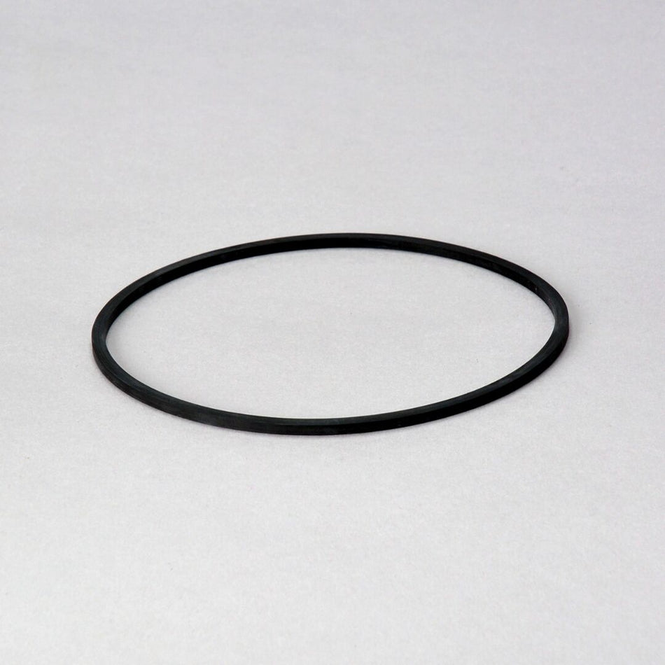 JLG Dsgasket P174997 replacement part image