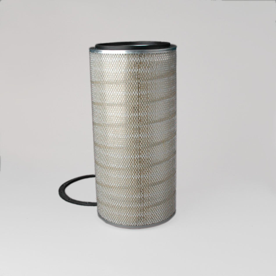 OEM Genie P181009DFS product image 1
