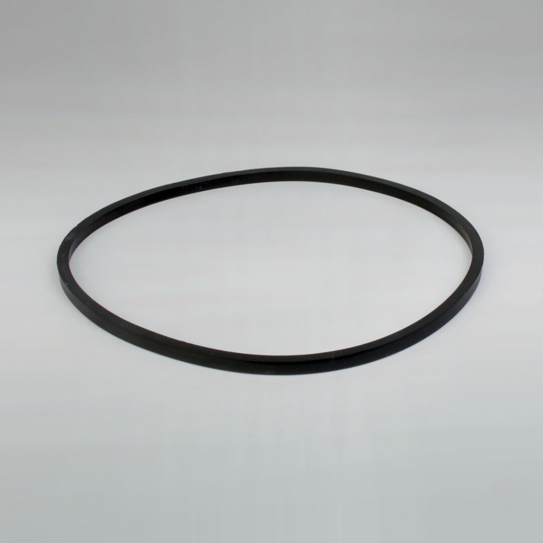 JLG Dsgasket P535559 replacement part image