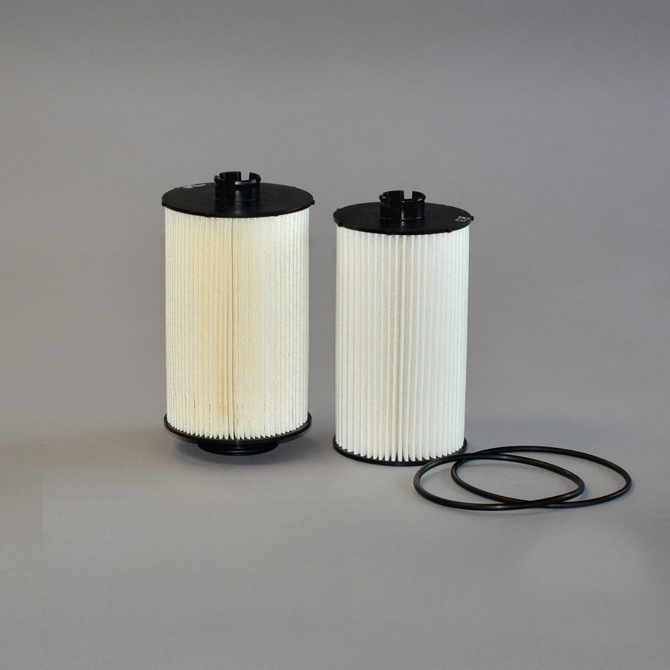 Genie P551625DFS FUEL FILTER KIT